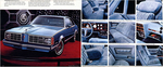 1978 Pontiac-11